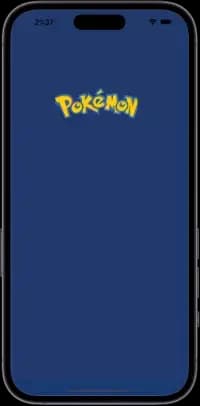 Application loading page.